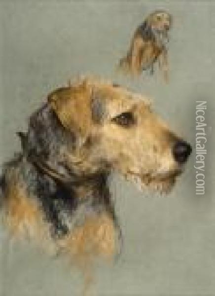 Studies Of An Airedale Terrier Oil Painting - Arthur Wardle