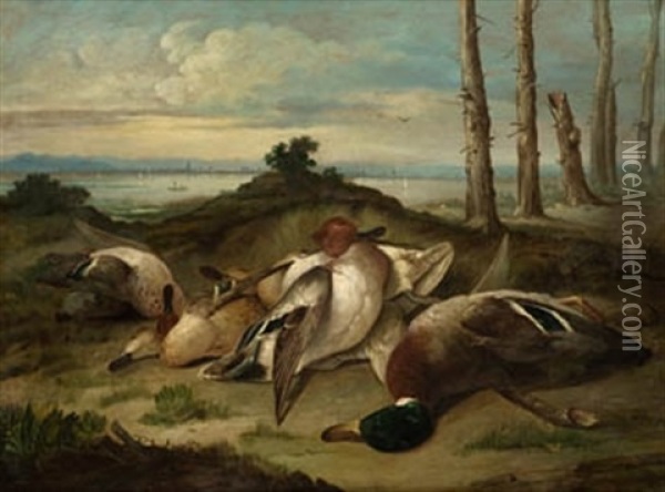 Patos Oil Painting - Miguel Parra Abril