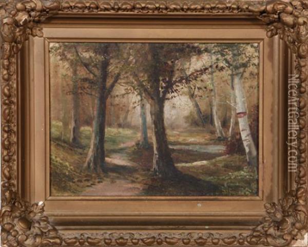 Forest Landscape Oil Painting - D.A. Fisher
