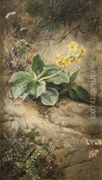 Gelbe Gebirgsprimeln Oil Painting - Paul Hermann Wagner