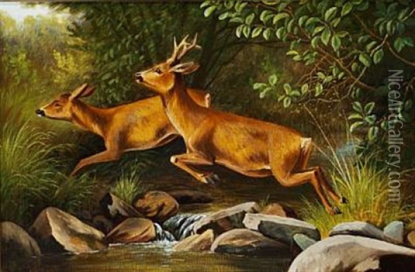 Running Roe Deer In A Forest Oil Painting - Carl Henrik Bogh