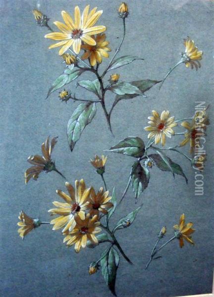 Study Of Flowers Oil Painting - Antoine Berjon