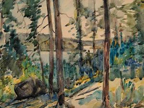 The Burnt Hill, Lake Macara Oil Painting - James Fraser Scott