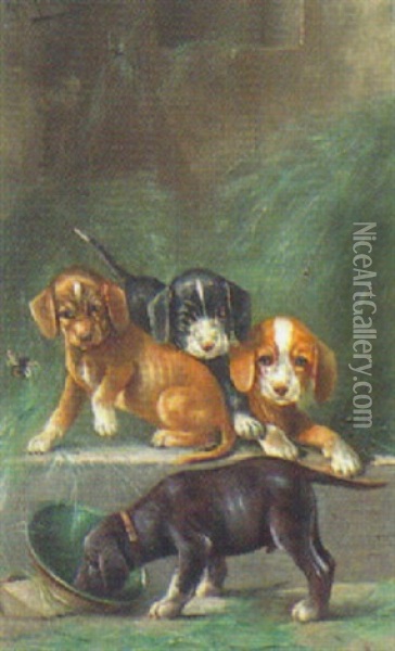 Spielende Hundewelpen Oil Painting - August Mueller