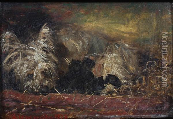 Long Haired Terrier And Pups Oil Painting - Robert L. Alexander