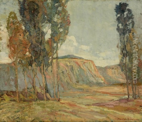 Eucalyptus In A California Landscape Oil Painting - Maurice Braun