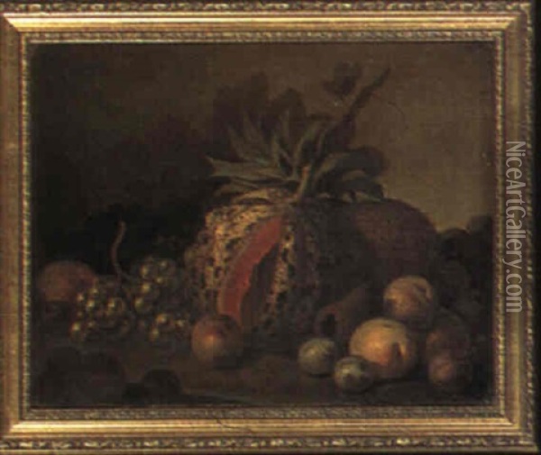 Still Life Of Fruit On A Ledge Oil Painting - Moses Haughton the Elder