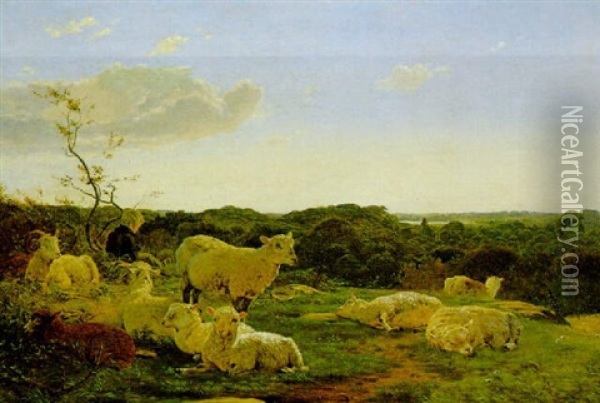Schafe Auf Der Weide Oil Painting - Charles Wesley Sanderson
