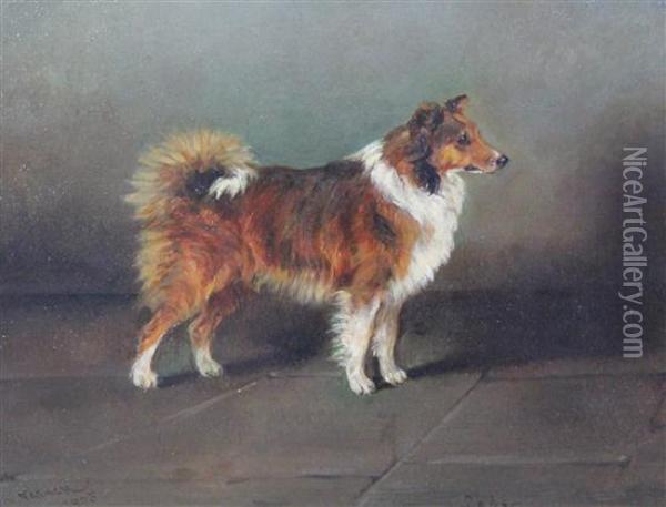 Portrait Of A Collie 'lady' Oil Painting - Frederick, Fred French