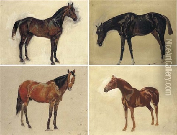 Sketch Of A Dark Bay Horse (+ 3 Others; 4 Works) Oil Painting - James Lynwood Palmer