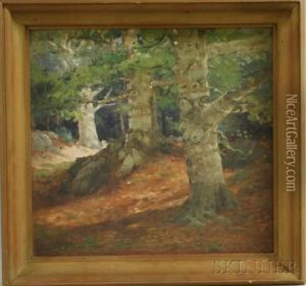 Sundappled Landscape With Three Large Trees. Oil Painting - Ogden Wood