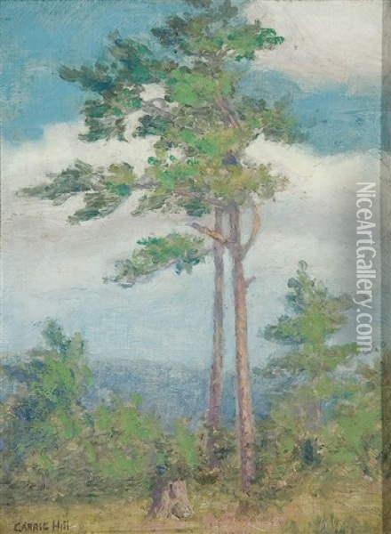 Summer Landscape With Lone Pines Oil Painting - Caroline Carrie Lillian Hill