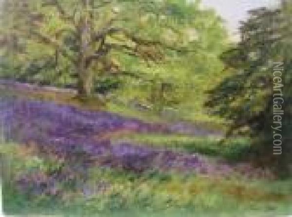 The Bluebell Wood At ' Stourhead May 1909' Oil Painting - Henry John Yeend King