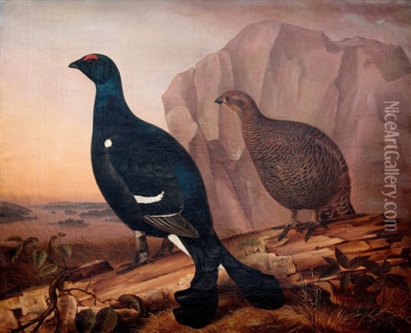 Black Grouses Oil Painting - Magnus Von Wright