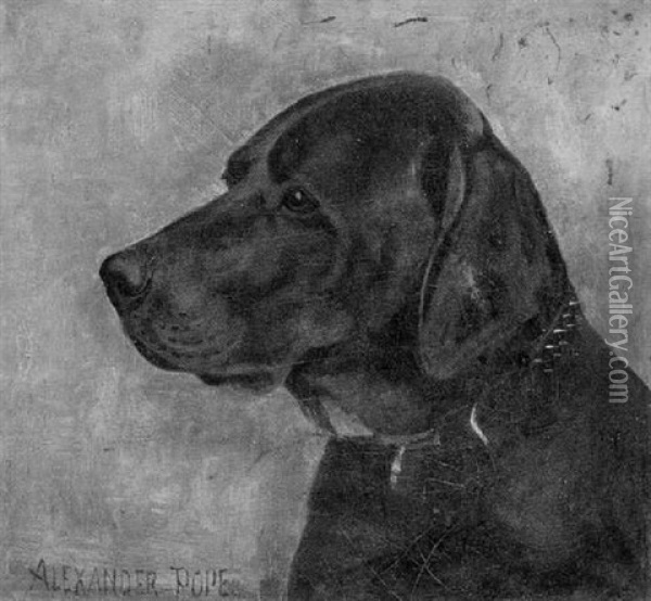 Portrait Of A Labrador Retriever Oil Painting - Alexander Pope