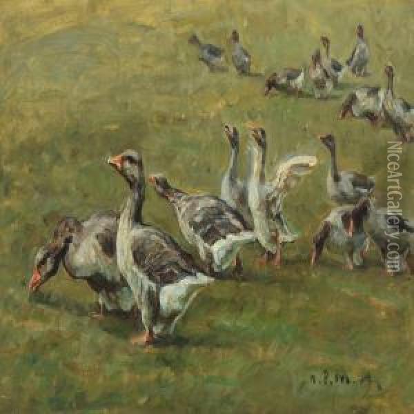 Geese In The Field Oil Painting - Niels Pedersen Mols