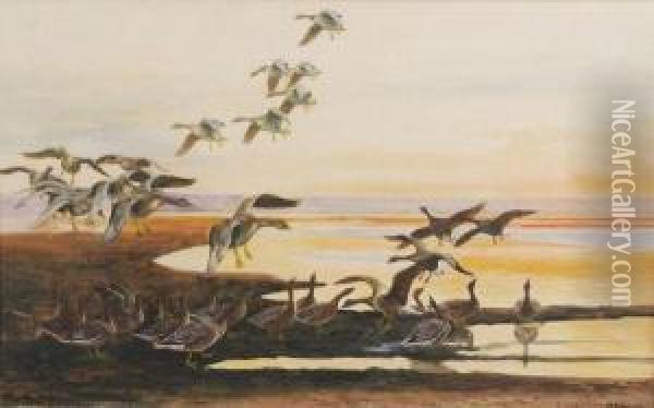 Geese In Flight At Sunset Oil Painting - John Guille Millais