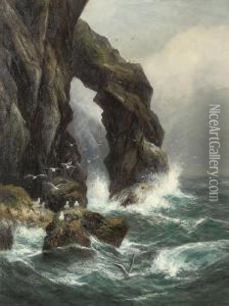 Gulls Off A Rocky Coastline Oil Painting - Peter Graham