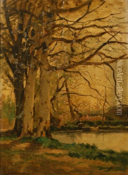 Trees By The Water Oil Painting - Hendrick van der Hecht