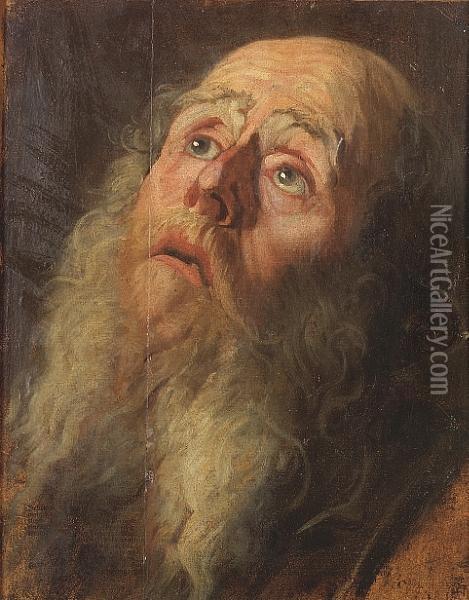 The Head Of An Elderly, Bearded Man Oil Painting - Sir Anthony Van Dyck