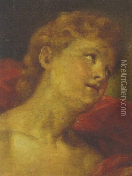 Saint Sebastian, Head And Shoulders Oil Painting - Federico Barocci