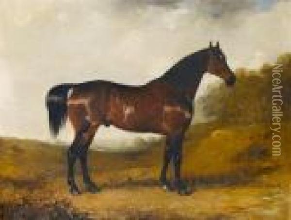 A Chestnut Hunter Standing In An Open Wooded Landscape Oil Painting - Henry Calvert