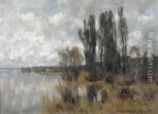 Seeuferpartie Oil Painting - Carl Theodor Meyer-Basel