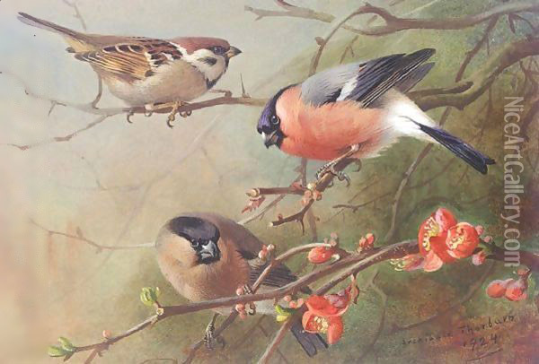 Tree Sparrow And Bullfinches Oil Painting - Archibald Thorburn