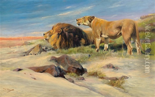 Pair Of Lions In The Steppe Oil Painting - Wilhelm Friedrich Kuhnert