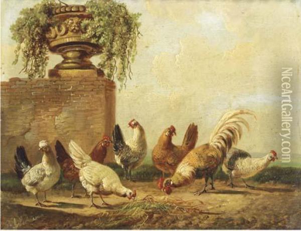 Poultry By A Ruin Oil Painting - Albertus Verhoesen