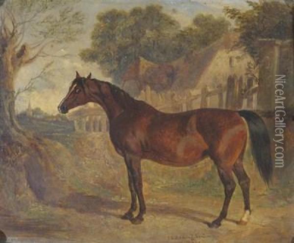 Bay Horse In A Village Landscape Oil Painting - John Frederick Herring Snr