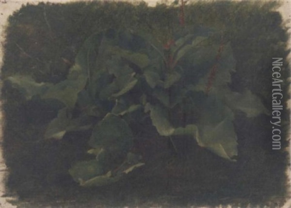 Studies Of Acanthus Leaves Oil Painting - Luc-Olivier Merson