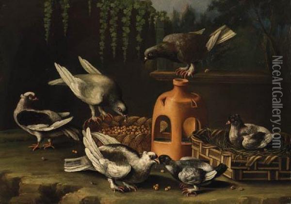 Pigeons Feeding From A Basket By A Stoneware Vase In A Garden Oil Painting - Giovanni Quinsa