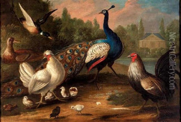 A Peacock, A Chicken And A Hen With Her Chicks, And Two Ducks In A Landscape, A House Beyond Oil Painting - Marmaduke Cradock