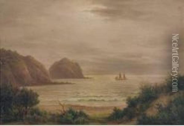 Piha Bay, Auckland Oil Painting - William George Baker