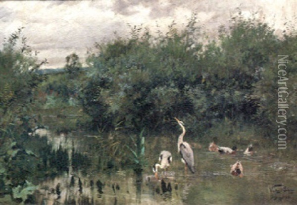 Herons And Ducks In A Lake Oil Painting - Geza Vestagh