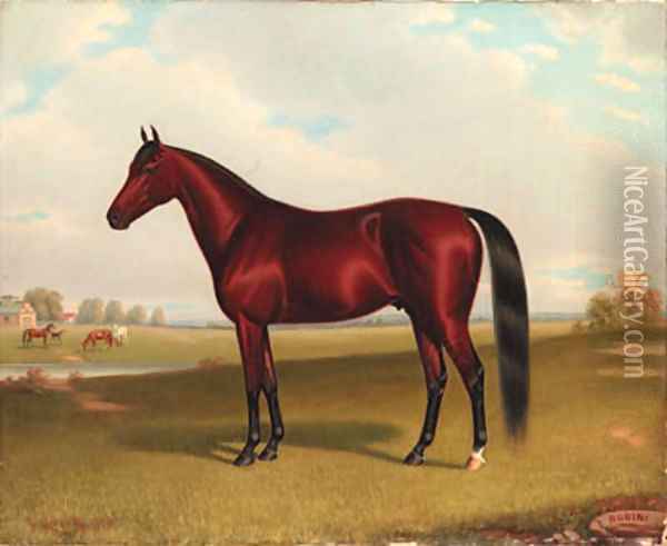 Rubini, A Bay Horse in a Lanscape Oil Painting - John McAuliffe