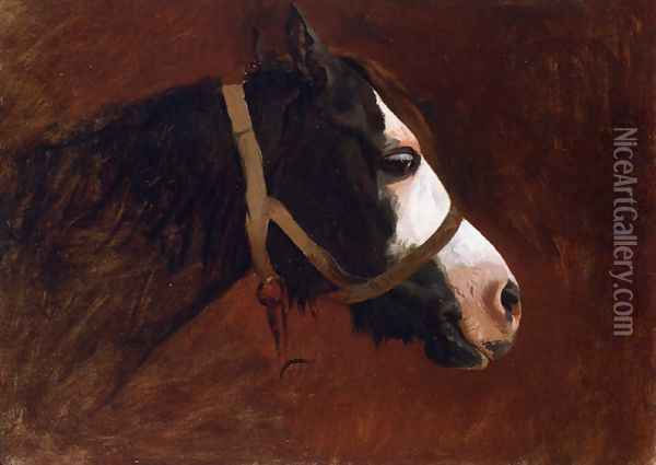 Profile of a Horse Oil Painting - Jean-Leon Gerome