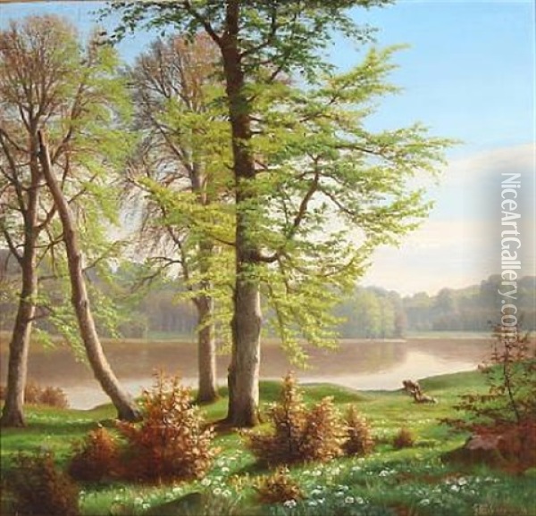 Deer At A Forest Lake Oil Painting - Eiler Rasmussen Eilersen