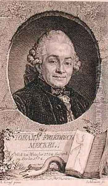 Portrait of Johann Friedrich Meckel 1724-76 Oil Painting - Anton Graf