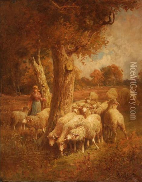 A Shepherdess With Sheep In A Forest Clearing Oil Painting - Max Breu