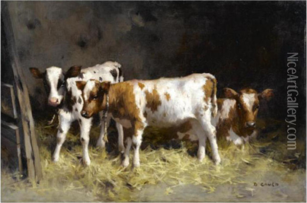 Calves At Rest Oil Painting - David Gauld