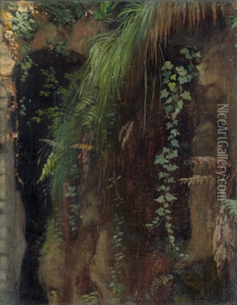 Farne Am Eingang Zur Grotte Von Sorrent Oil Painting - Rudolf Schick