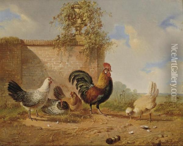A Rooster And His Chicken Oil Painting - Albertus Verhoesen