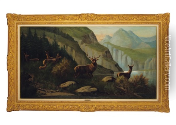Deer Beside The Lake In Mountain Oil Painting - Karl Bodmer
