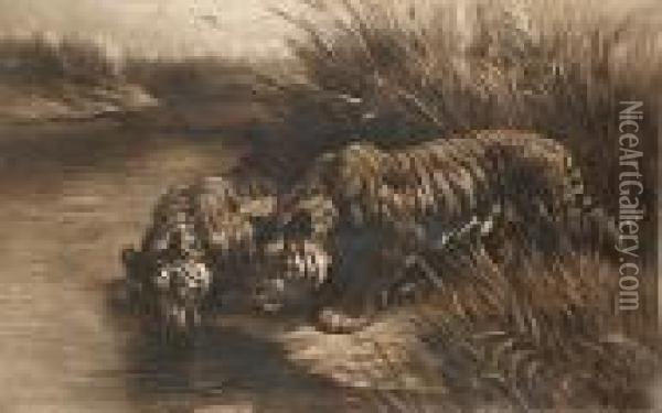 Tigers Watering Oil Painting - Herbert Thomas Dicksee