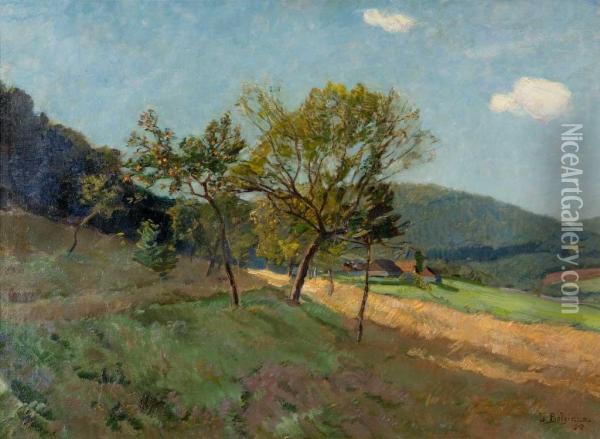 Paesaggio (valle Dell'isarco) Oil Painting - Ludwig Bolgiano