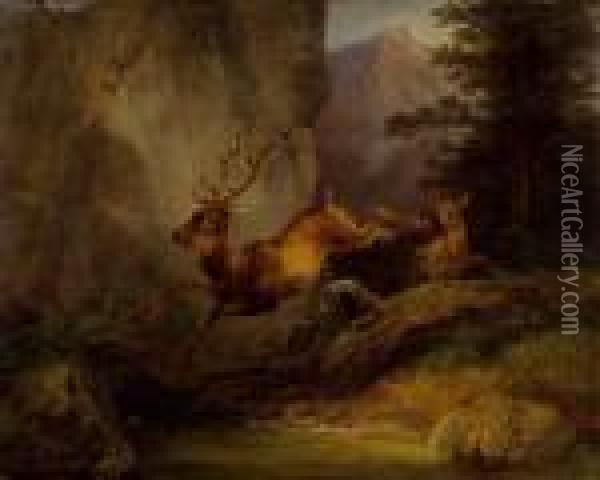 Springender Hirsch An Einer Felswand Oil Painting - Friedrich Gauermann