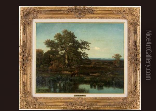 The Pond In The Forest Oil Painting - Jules Dupre
