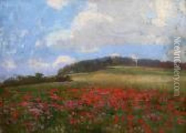 Meadow With Poppies Oil Painting - Roman Havelka